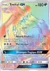 Carte Yveltal GX 137/131