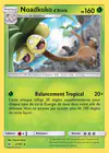 Carte Noadkoko d'Alola 2/131
