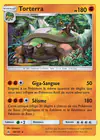 Carte Torterra 58/131
