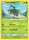 Carte Cabriolaine 9/131