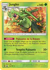 Carte Jungko 10a/168