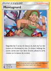 Carte Montagnard 133/168