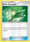 Carte Herbe Sauveuse 136/168