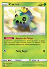 Carte Cacnea 19/168