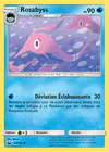 Carte Rosabyss 43/168