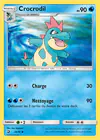 Carte Crocrodil 23/70