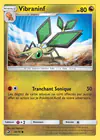 Carte Vibraninf 38/70