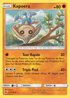 Carte Kapoera 113/214