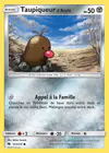 Carte Taupiqueur d'Alola 122/214