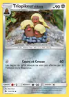 Carte Triopikeur d'Alola 123/214