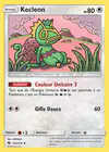 Carte Kecleon 162/214