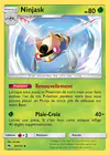 Carte Ninjask 30/214