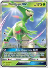 Carte Viridium GX 34/214