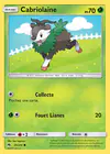 Carte Cabriolaine 35/214