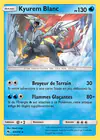 Carte Kyurem Blanc 63/214