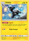 Carte Zéblitz 82/214