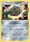 Carte Noacier 103/181