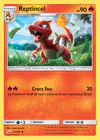 Carte Reptincel 13/181