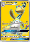 Carte Pharamp GX 163/181