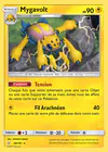 Carte Mygavolt 48/181