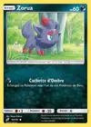 Carte Zorua 90/181