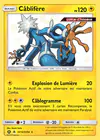Carte Câblifère SV14/SV94