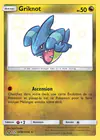 Carte Griknot SV38/SV94