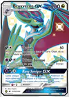 Carte Bruyverne GX SV78/SV94