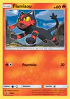 Carte Flamiaou SM02/
