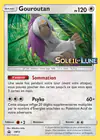 Carte Gouroutan SM13/