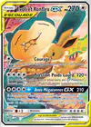 Carte Évoli et Ronflex GX SM169/