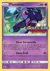 Carte Plumeline SM19/