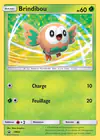 Carte Brindibou SM22/