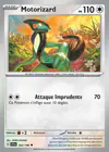 Carte Motorizard 163/198