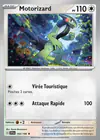 Carte Motorizard 164/198