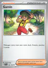 Carte Gamin 198/198