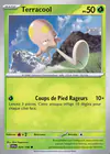 Carte Terracool 024/198