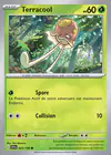 Carte Terracool 025/198