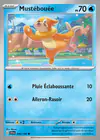 Carte Mustébouée 046/198