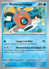 Carte Motisma Lavage 061/182
