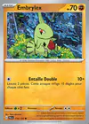 Carte Embrylex 110/193