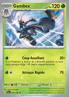 Carte Gambex 021/193