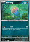 Carte Sepiatop 137/197