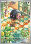 Carte Gourmelet 209/197