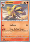 Carte Feunard 029/197