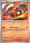 Carte Aflamanoir 039/197