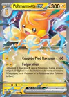 Carte Pohmarmotte ex 073/197
