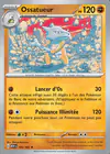Carte Ossatueur 105/165