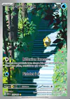 Carte Psykokwak 175/165