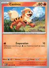 Carte Caninos 058/165
